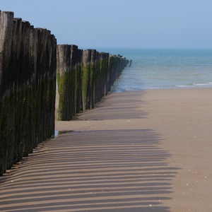 Rangée de poteaux brise lame sur une plage et dans la mer - France  - collection de photos clin d'oeil, catégorie paysages